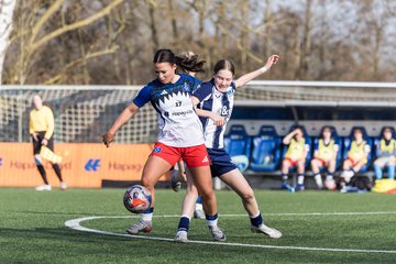 Bild 237 - wBJ Hamburger SV - Hertha BSC : Ergebnis: 2:1